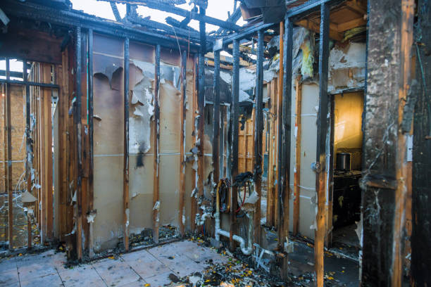 Professional Fire Damage Removal technician working in District of Columbia, DC